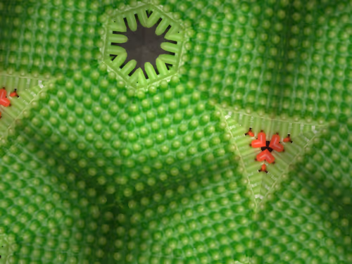 Item #69376820955182207634374405090115864776049539168882178084902512079028910817281 Media