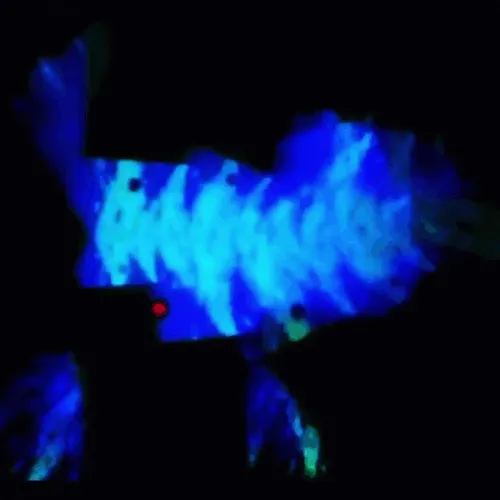 Item #67457553150443021914092587022250176347061355639032054621716076152081189175297 Media