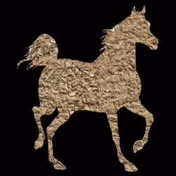 Horse #2