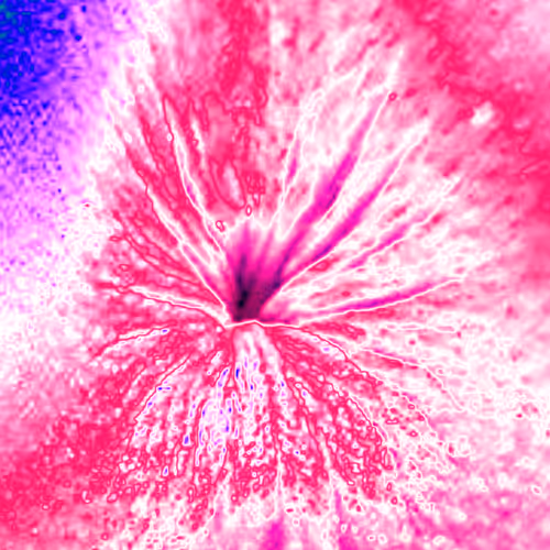 Item #38748192286267356930689689992324455160612969586483070519053316846762984472577 Media