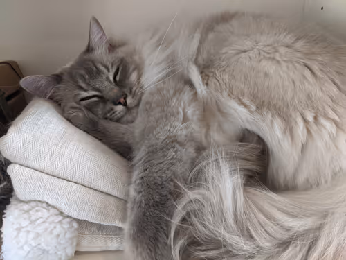 Item #13521381044251014283633442127255047675140696381570653722403136556389791432705 Media