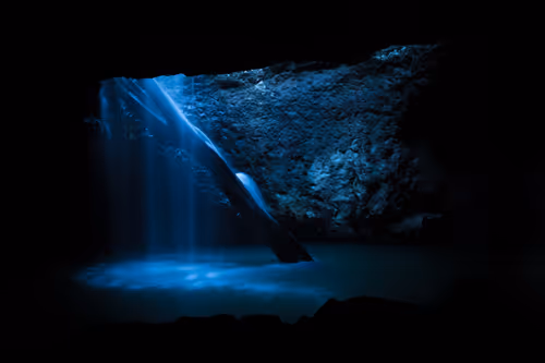 Item #11717075435639617062538583051799023982813876484308334407242089909671323238401 Media