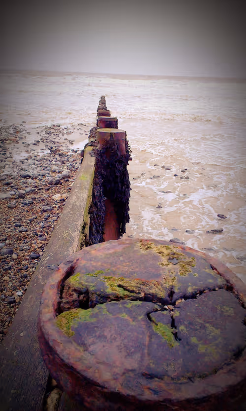 Item #60682361506423565370712823311843810028894794463794072968580133066729855123457 Media