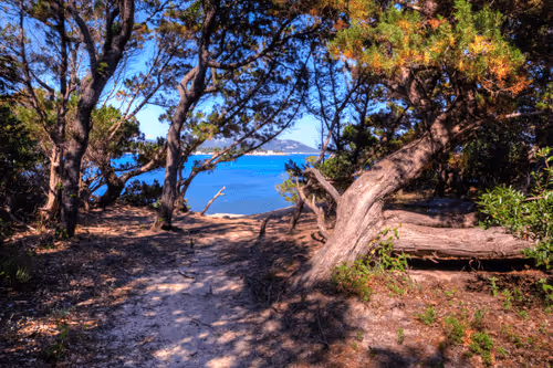 Item #6505089431552554568137386774614394979265528746054988378978093562113032192001 Media