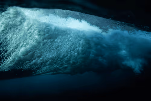 Item #99926930229538675438917090631619995362212113699001151744757174472727293067364 Media