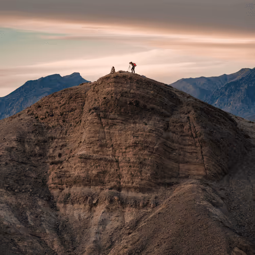 Unexpected Friendships