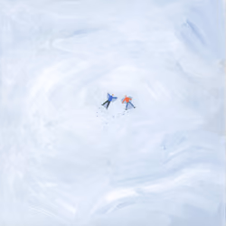 snowy