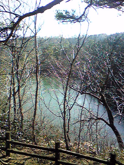 Item #2798886557042806862996260737379437753708202189265976662753732483976536260609 Media