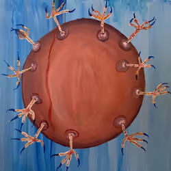 32429347255769162682189199460736802958491788542897441164058398274287470379009