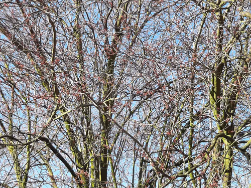 Item #13665938074563914331498291329920780757136253607588816979915017146370715811841 Media