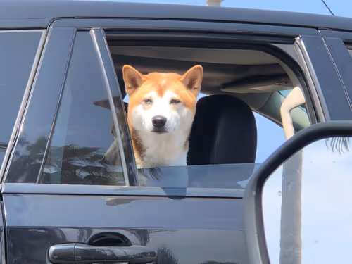 Item #20690686598406327978537158336164426387947003883481915028812449926710499999745 Media