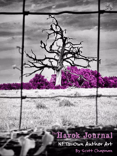 Item #114279786815483835742935838326294260638396500058431288090028659229304173887498 Media