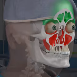 Sinus Dummy