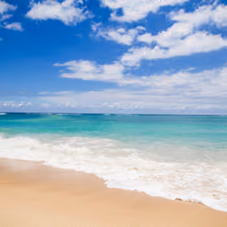 beach at the lake
