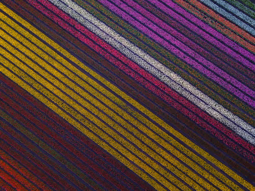 Item #55403408665547609189092792610750107765895786822855229620827418927269133942785 Media