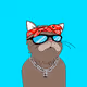Salty Punk Cats