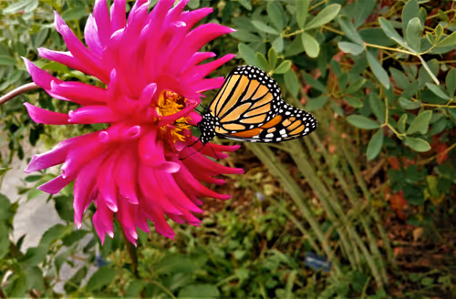 Item #28560886462937506344379963209422319679124542535278029527763573371330260631553 Media