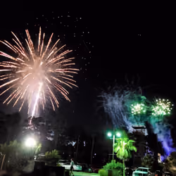 FireWorks14