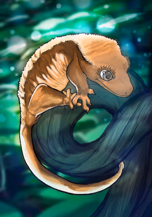 Item #23546686719633506406095790157609111049750244779414073605876924874706600853505 Media