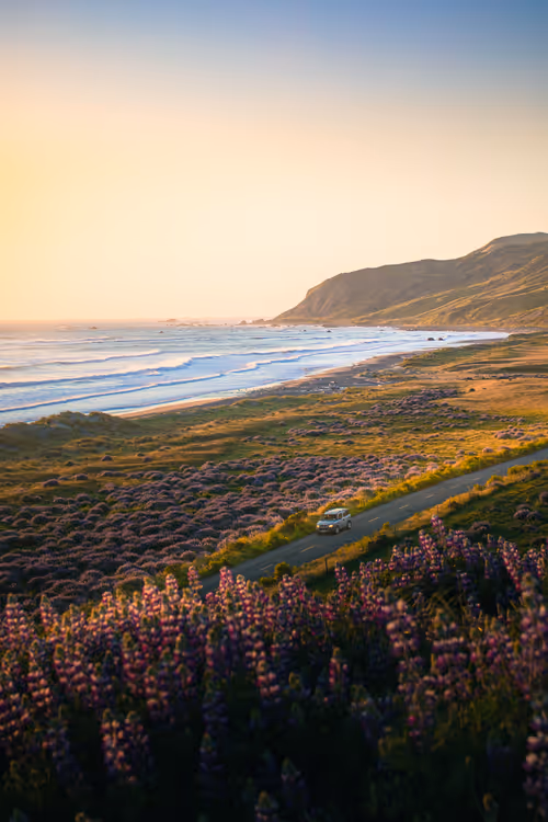 Item #28249669150142615207579555762608265536132247185199409993543532434376529805313 Media