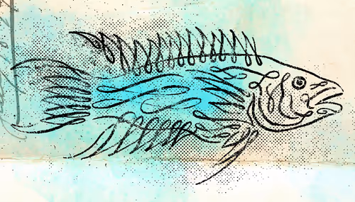 Item #12520096913277121545232673772747947087596815365110293900319642820434603278337 Media