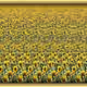 59533603458434116742145555316201003167216148373957054231191507595606316023813