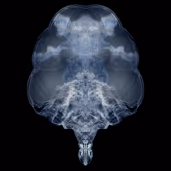 85859191866638808365331437874953228966785819470149775310971063525399156752385