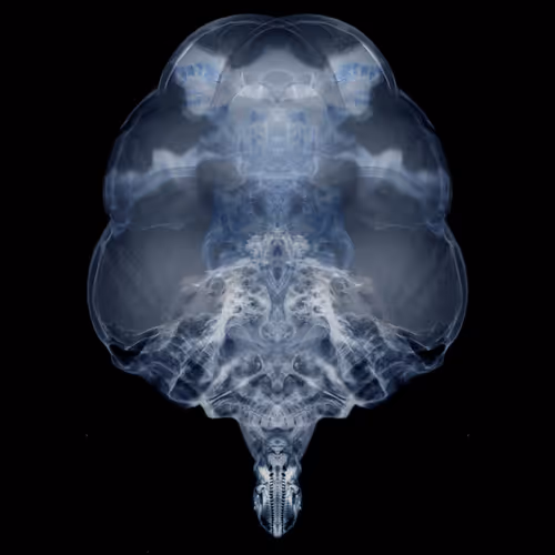 Item #85859191866638808365331437874953228966785819470149775310971063525399156752385 Media