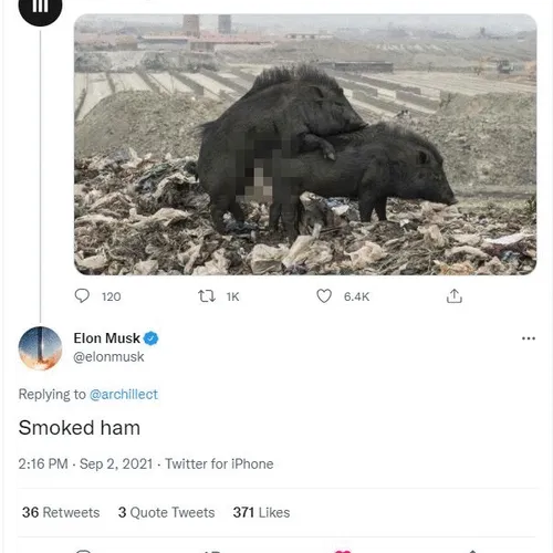 Smoke Ham by Elon Musk