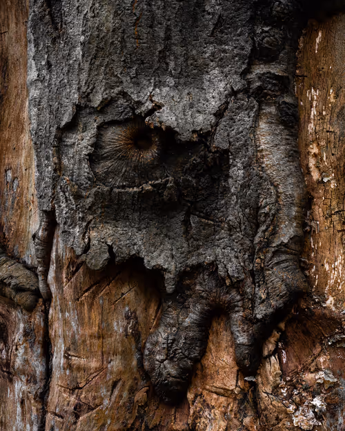 Item #92025450797269199699519638407999947828010124563072321716364901916642769895425 Media