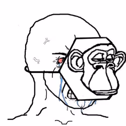 UPSET HEXAGON APE