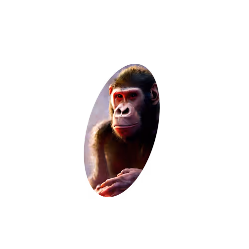 Item #35576346683517962145250958377486936835298064058756027202621578086318725922817 Media