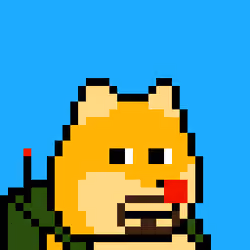 Dooggie #4043