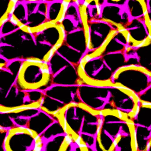 Item #51929734946411346289540790635765095060363125039145709683616697092486031474689 Media