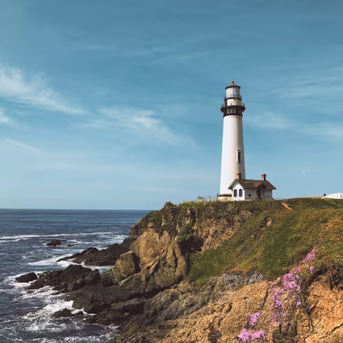 Untitled Collection #23699320