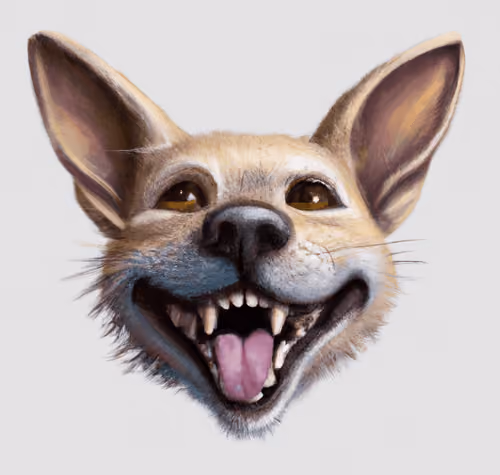 16251234114527010471893283997191668784288596818669129864287567172177156374529
