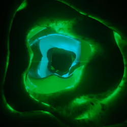Green Tunnel