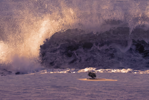 Item #94302163411569095589289123968041002973019814470584416299482263141717427355649 Media