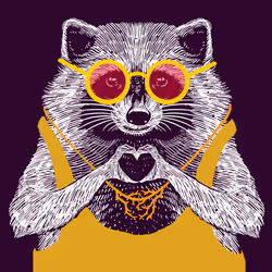 Love Raccoon #379