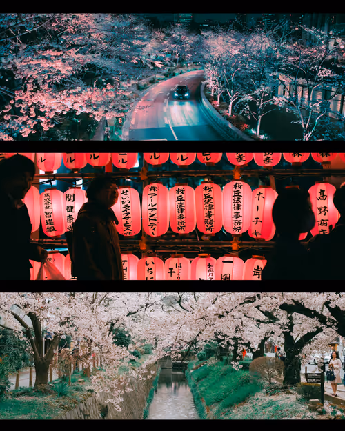 Item #96599056969813892104353962931903654795432609941709159220094717563692728188929 Media