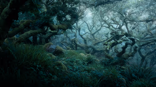 Item #72639390708267126639436568569652760193401123475841185469851730342315678498817 Media