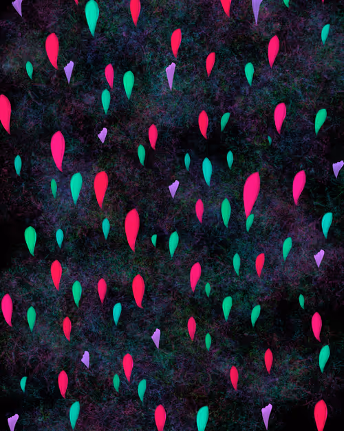 Item #67428853302242778530511456259079558737499986186560837533912873234822416302081 Media