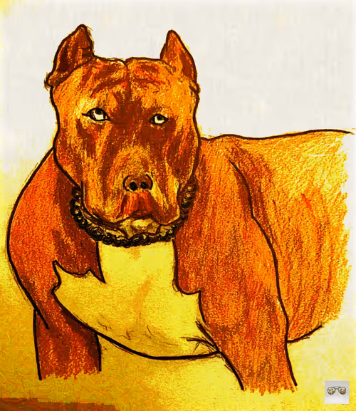 Item #73751005446205567110562479893401256064422636814134837291846161761801802350593 Media