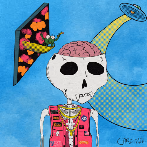 Cardinal's Pop Playground