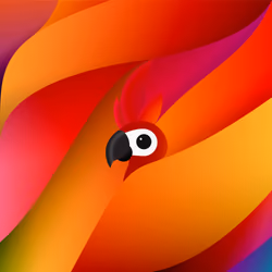 Red Macaw