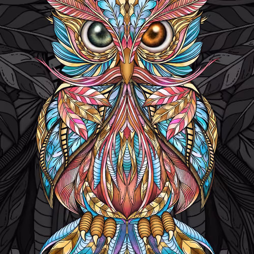 The Owl