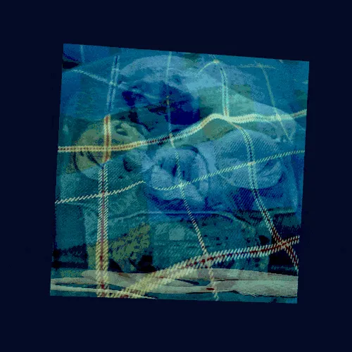 Item #56485572865643406190523004317693602155169995562420708378703551176590011400193 Media