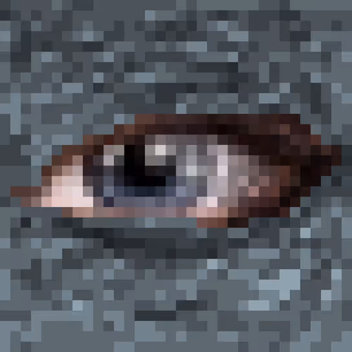 Item #26686199163110026974324844525197690946123465911861922497364912506994650251265 Media