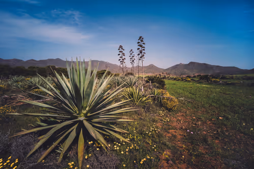 Item #96927138123694371990624378573919196862016558693078256504060925361336275173377 Media