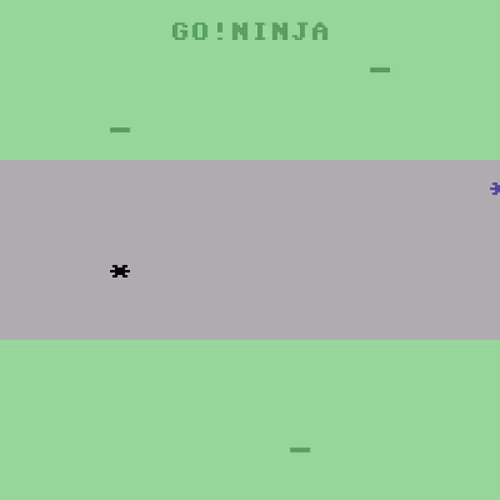 raistooza Collection